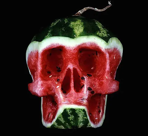 Los vegetarianos y veganos matan animales...