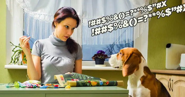 ¿El perro o yo? La respuesta de éste hombre fue épica!