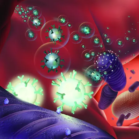 Lo pedis, lo tenes! Inventos argentinos (Parte 2)