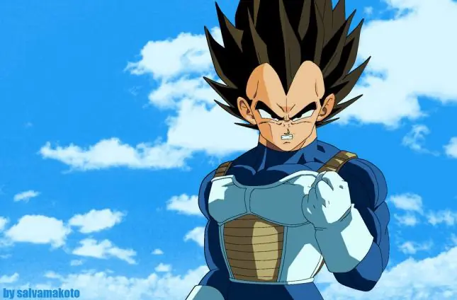 Por qué Vegetaes el mejor personaje de DBZ?