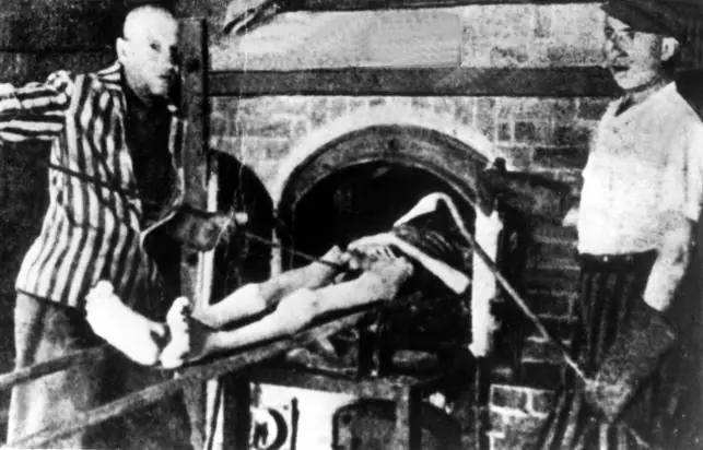 auschwitz