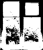 Primer foto de internet