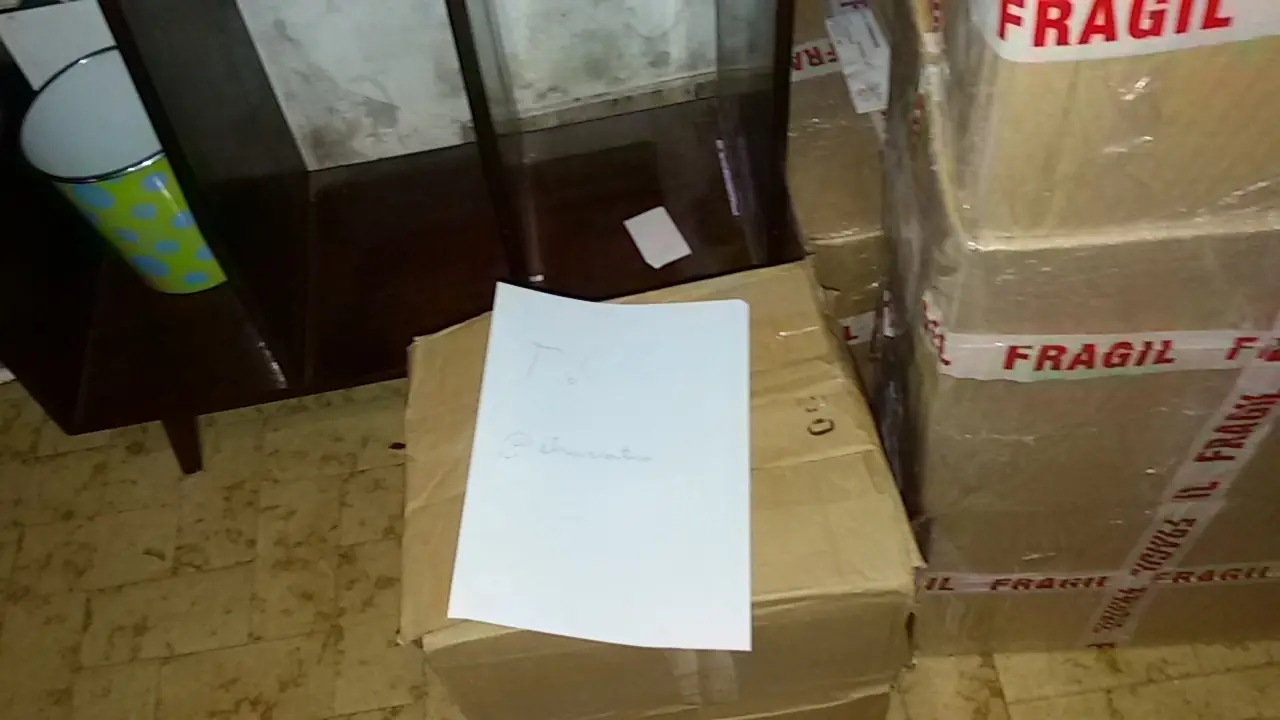 trabajo para un mafioso,quiero huir (certificado) trabajo para un mafioso,quiero huir (certificado)