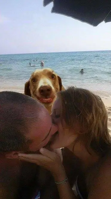 pareja
