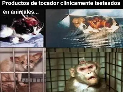 Decile NO al maltrato animal