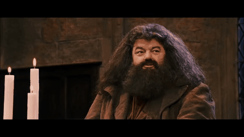 se dejó crecer la barba desde cero a una tipo Hagrid se dejó crecer la barba desde cero a una tipo Hagrid