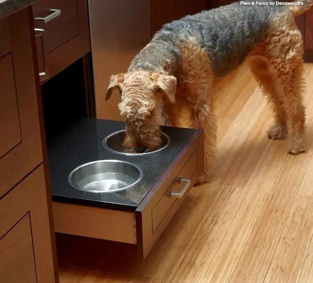 25 Trucos que hacen que cuidar un perro sea facil