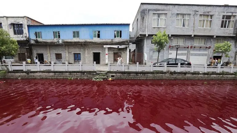 contaminacion