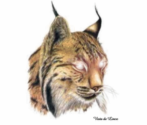 Tributo a ustedes: ¡El Ejército de Linces!