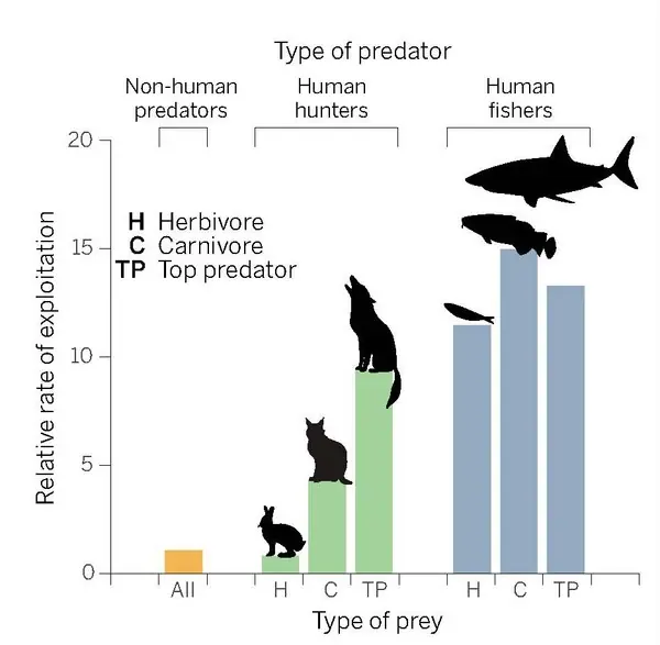 Humanos, una especie no sostenible de superdepredadores