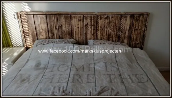 ecologia