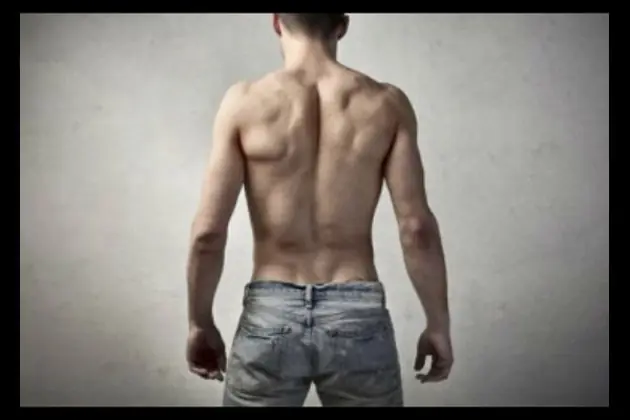 musculos musculos