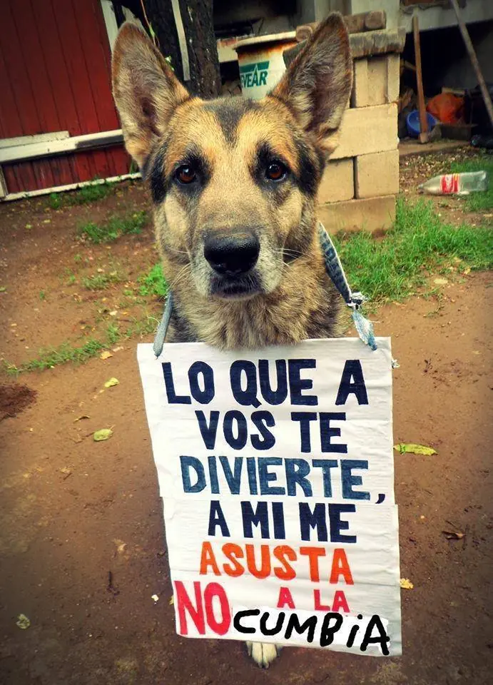 humor