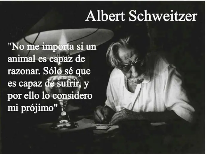El poder lo enloqueció, como a ese Albert Schweitzer