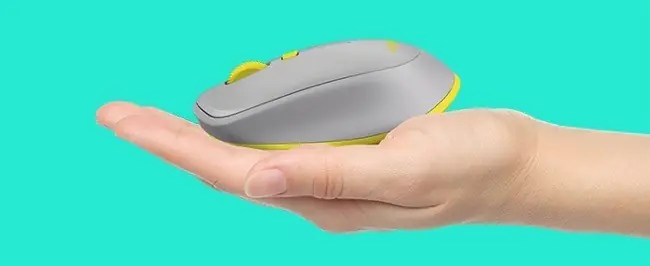 mouse