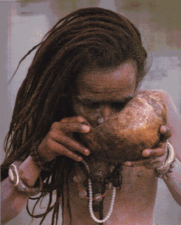 aghori sadhus