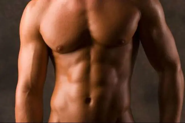 musculos musculos