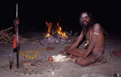 aghori