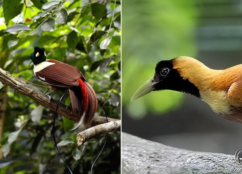 naturaleza