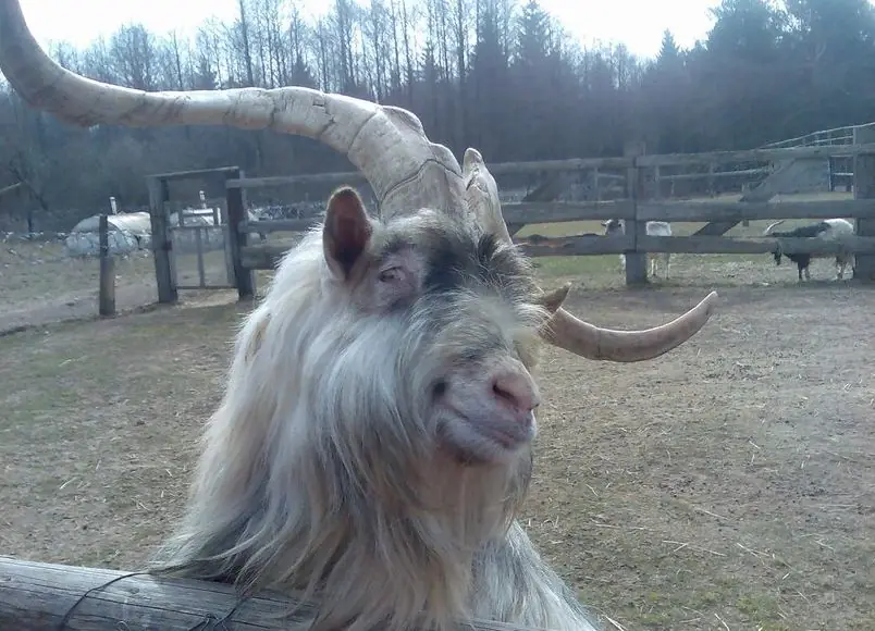 El editor de taringa me borro todo mi post y te lo muestro