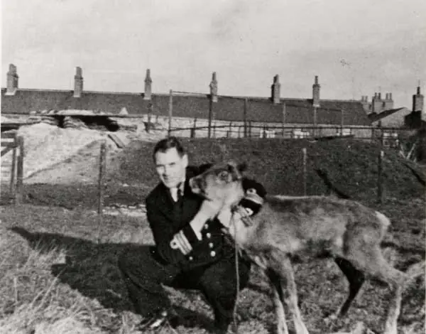 17 datos interesantes que seguramente no conocias