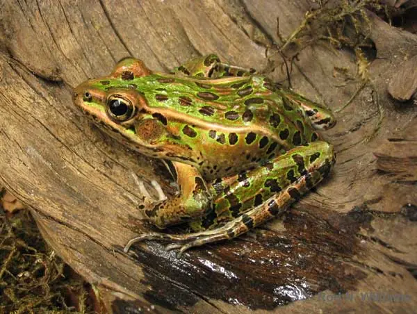 17 datos interesantes que seguramente no conocias