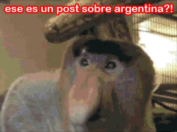 "En Argentina hay buena sangre blanca"