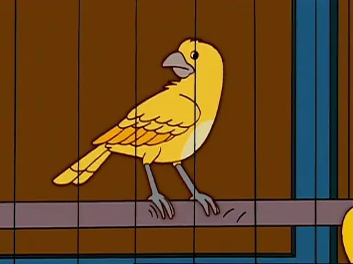 pajarito