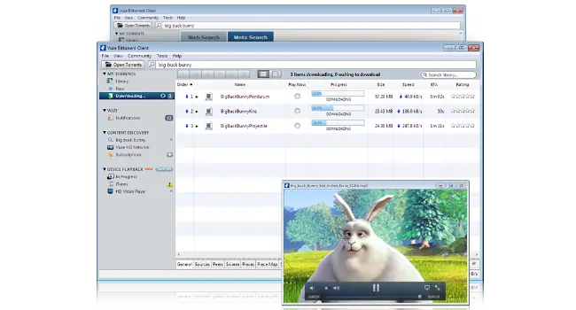 utorrent