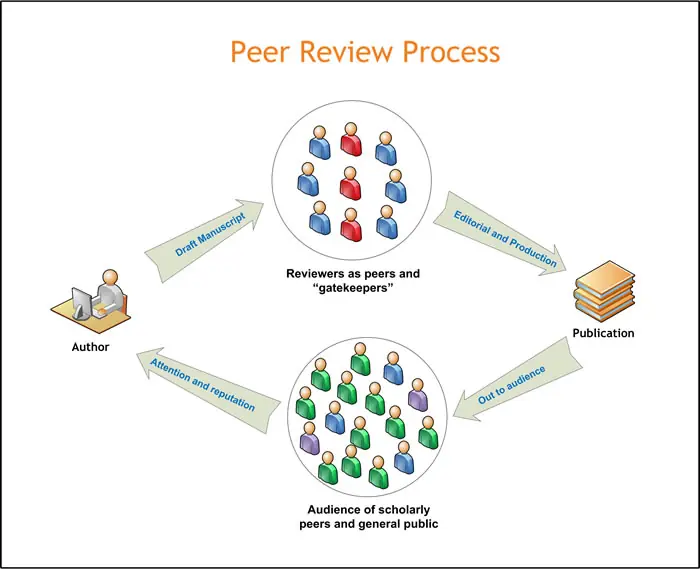 peer review