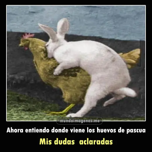 [MegaPost] Frases graciosas para reírte un rato