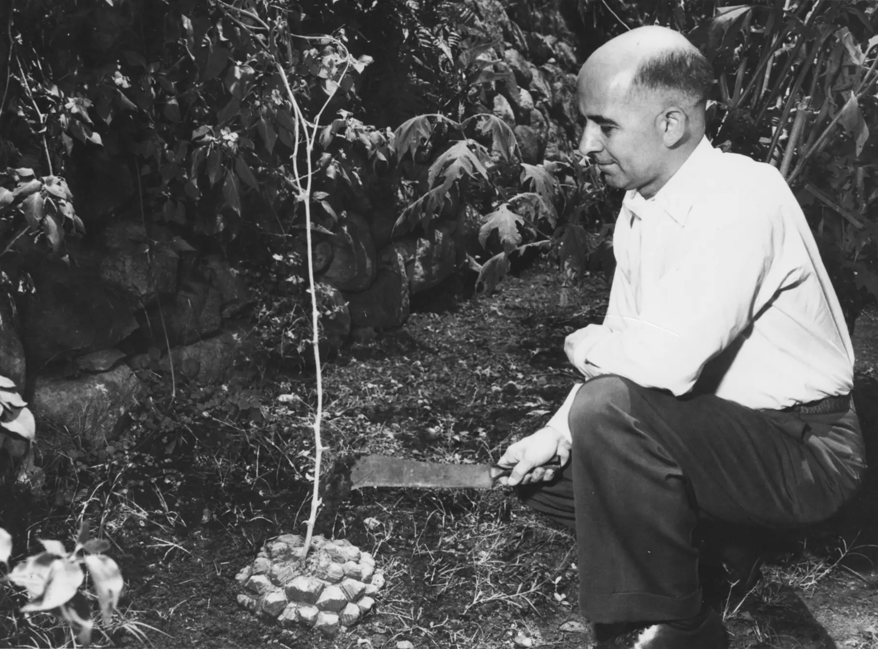 5 grandes inventos de la quimica