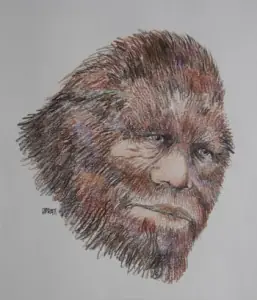 yeti