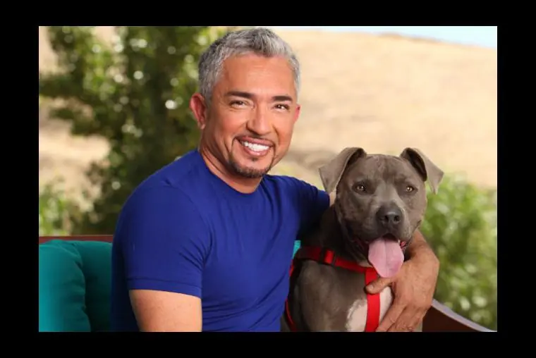 10 Casos de famosos que intentaron quitarse la vida