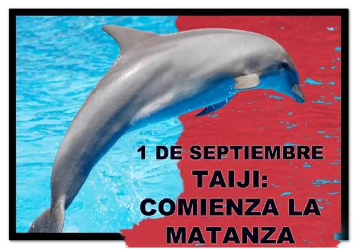 caza de delfines
