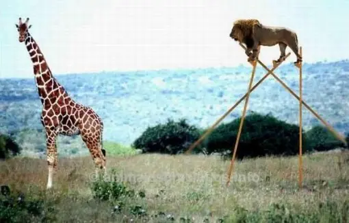 10 curiosidades que tal vez no sabías