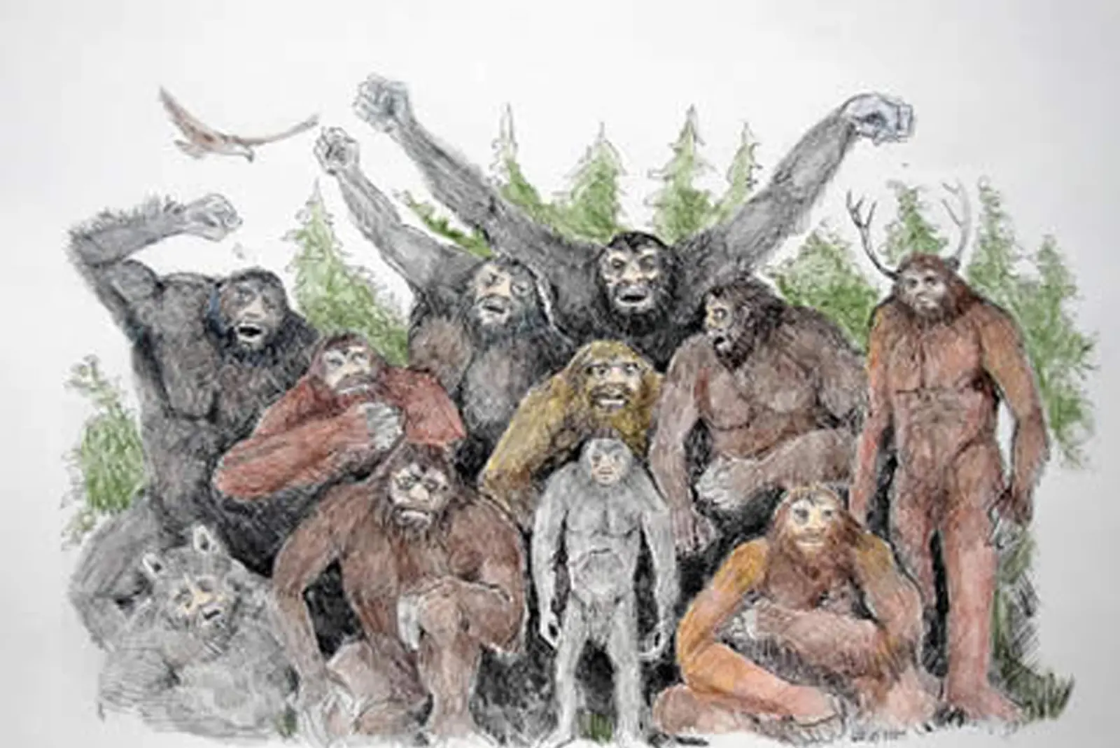 Hominidos de la criptozoologia