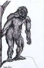 bigfoot