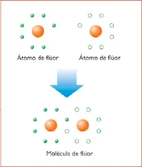sistema nervioso