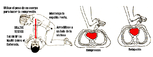 que hacer