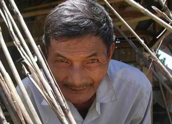 humanos