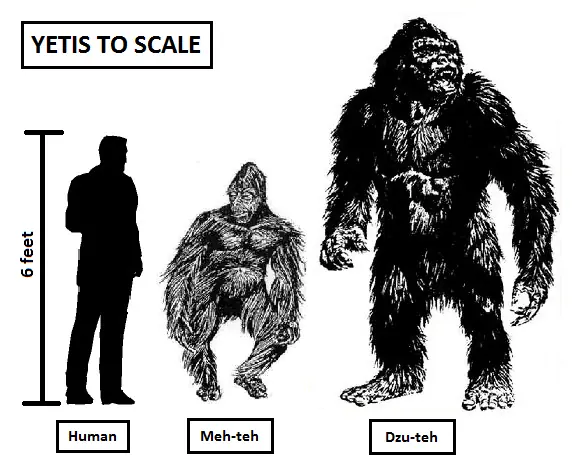 yeti
