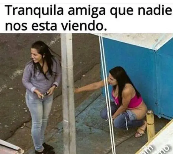 imagenes graciosas pasate lince!