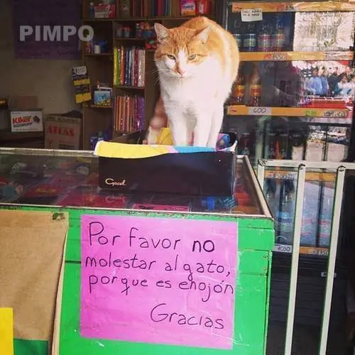 Humor Grafico