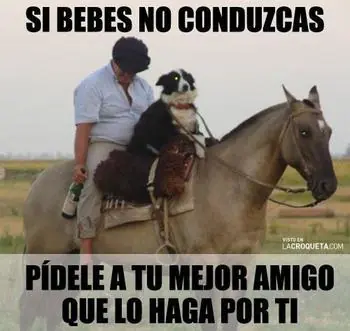 humor