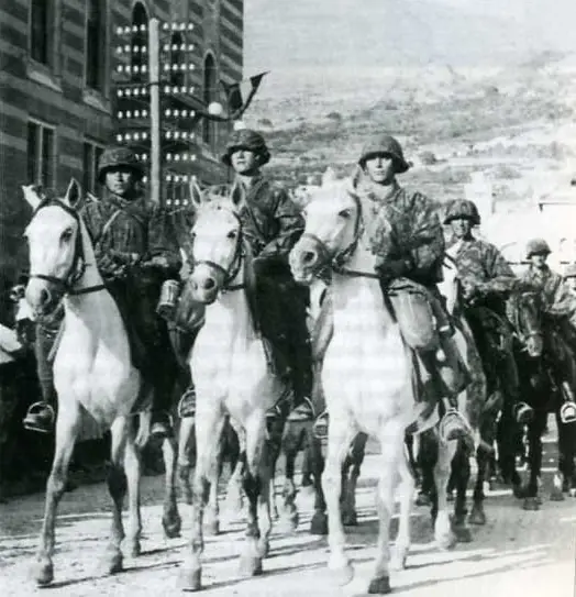 La SS de Hitler (Divisiones, imágenes y datos)