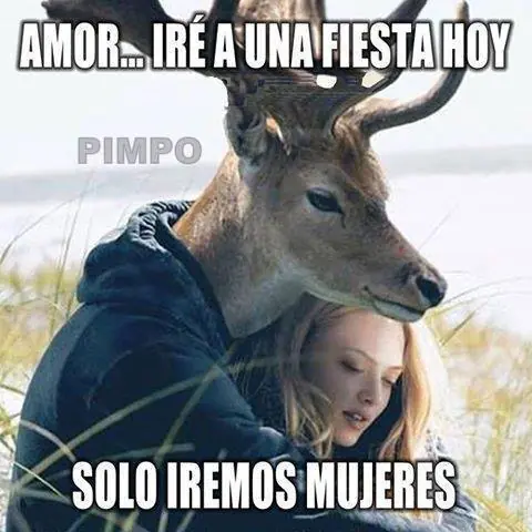 frases