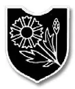 ejercito