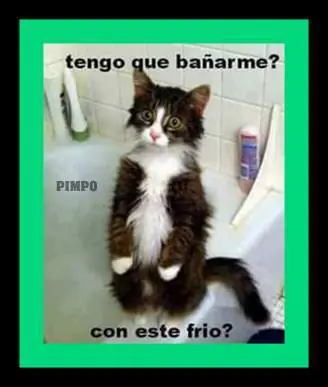 imagenes