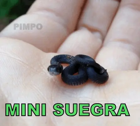 HUMOR y mas 49...+yapa taringuera